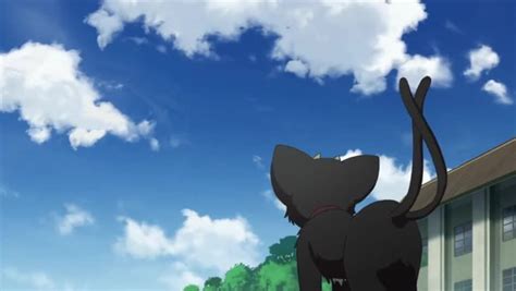 Watch Blue Exorcist: Runaway Kuro online free on 9anime.